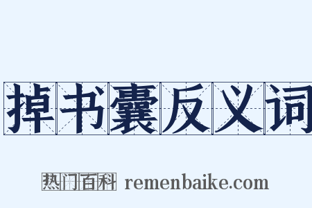 掉书囊反义词是什么意思的图片